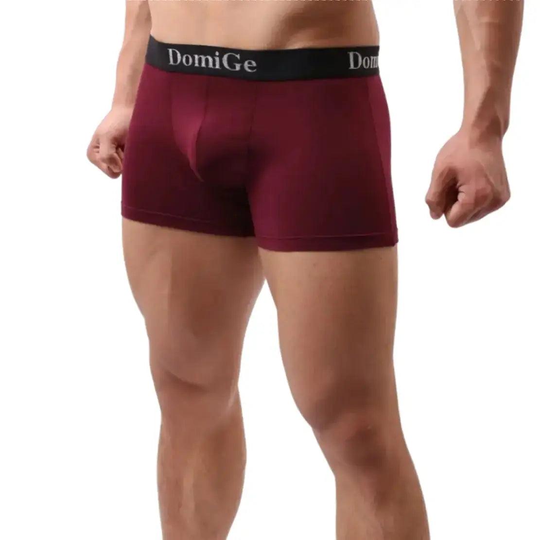 DomiGe Men's Mid-Rise Modal Boxers with Silver Logo Waistband